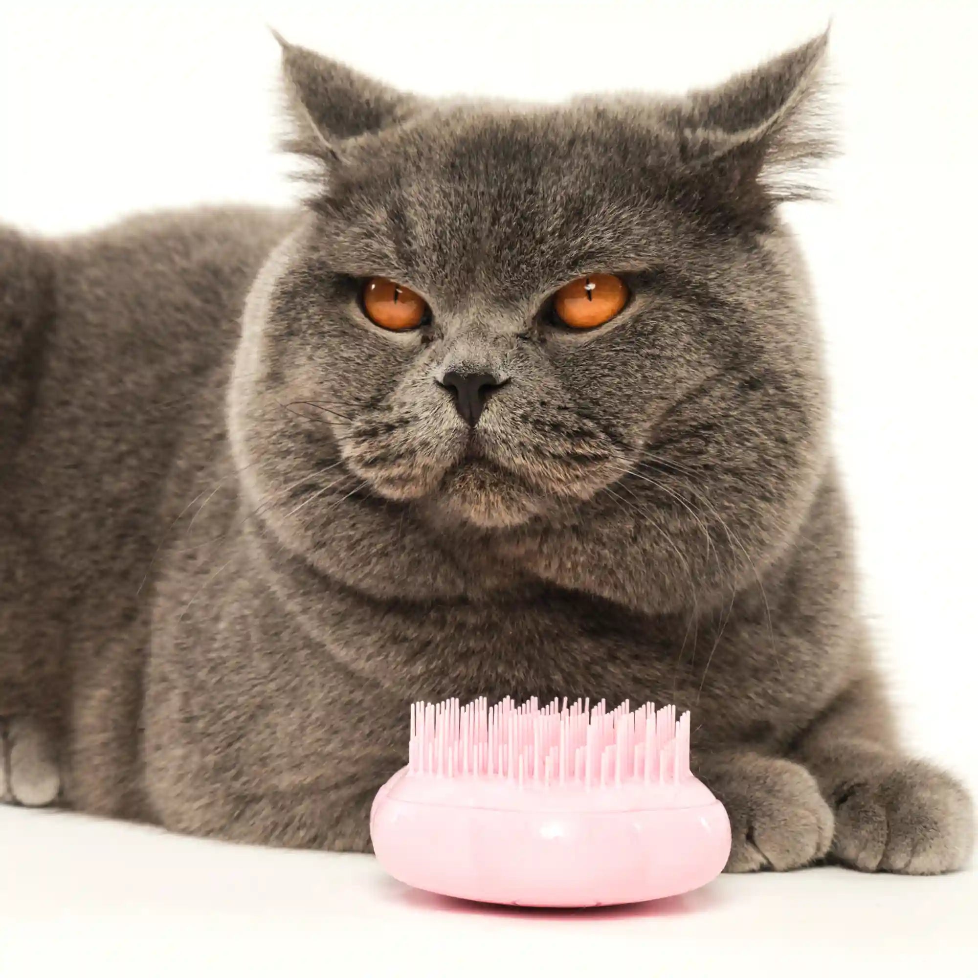 Cat Grooming Brush