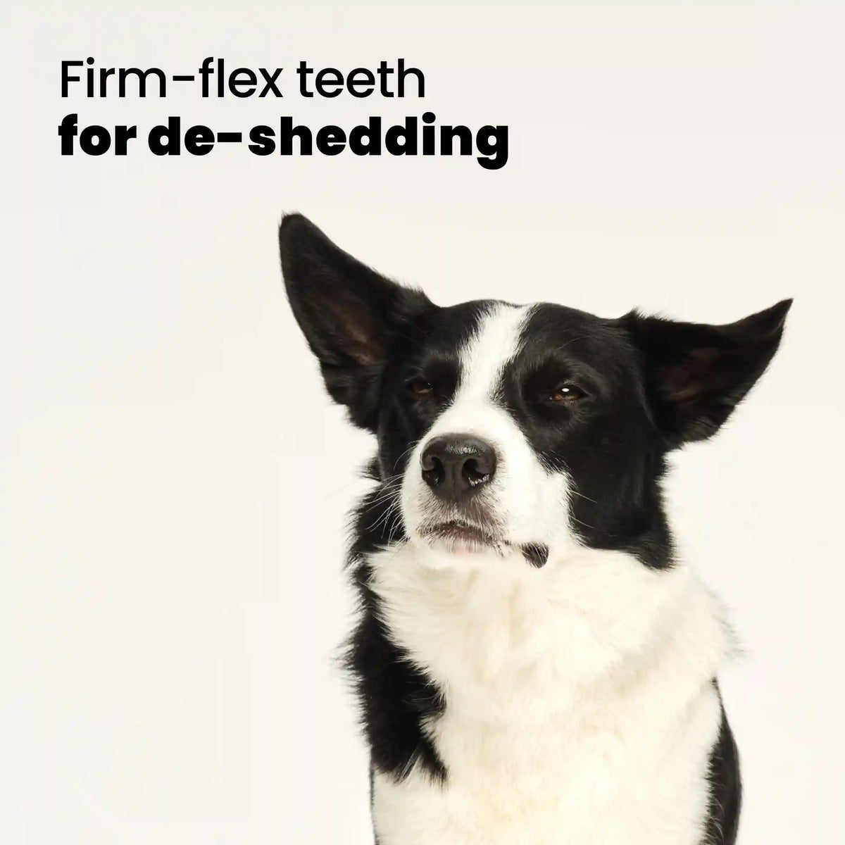 De-shedding Dog Grooming Brush